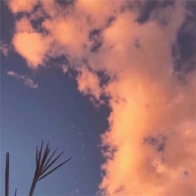 九游王者舰队手游下载